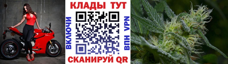 Где можно купить наркотики Оленегорск Каннабис Меф мяу мяу