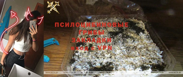 прущие крисы Алзамай